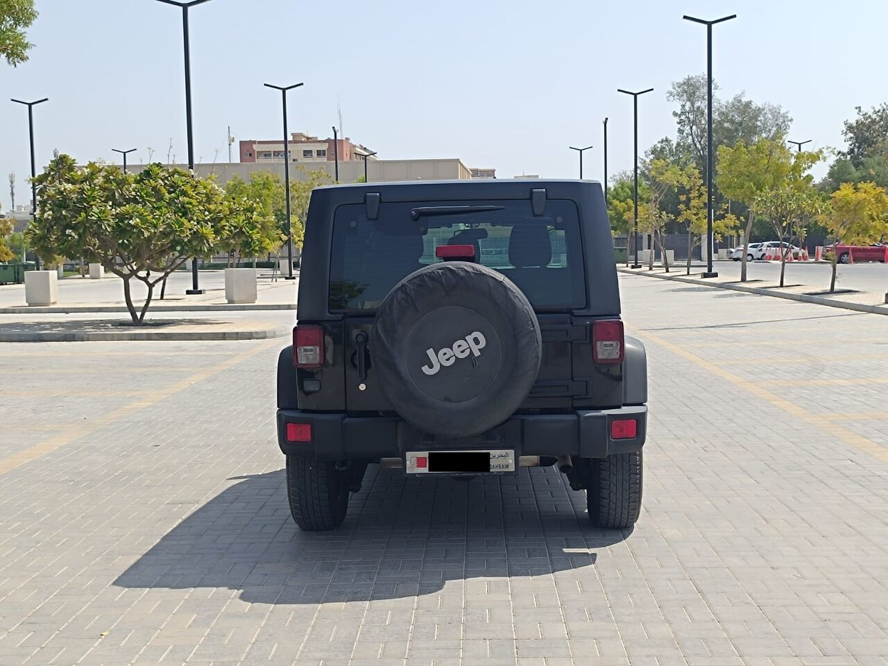 Image 4